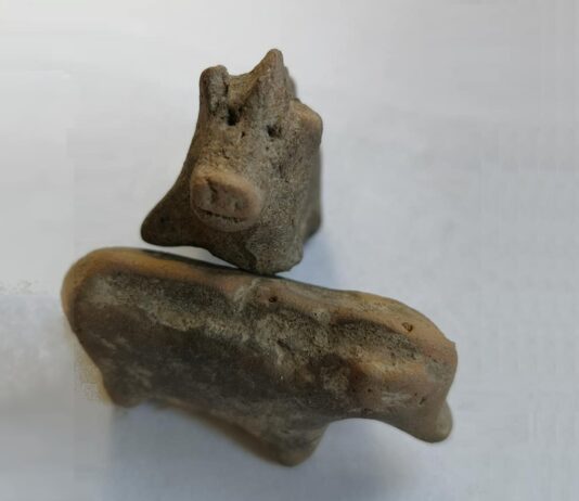 Gliniane figurki świnek sprzed 3,5 tys. lat odkryte w ufortyfikowanej osadzie w Małopolsce