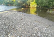 Oświęcim. Nastolatkowie odkryli ludzkie kości w rzece Soła Oświęcim kości w rzece Soła