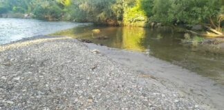 Oświęcim. Nastolatkowie odkryli ludzkie kości w rzece Soła Oświęcim kości w rzece Soła