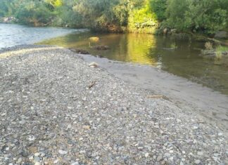 Oświęcim. Nastolatkowie odkryli ludzkie kości w rzece Soła Oświęcim kości w rzece Soła