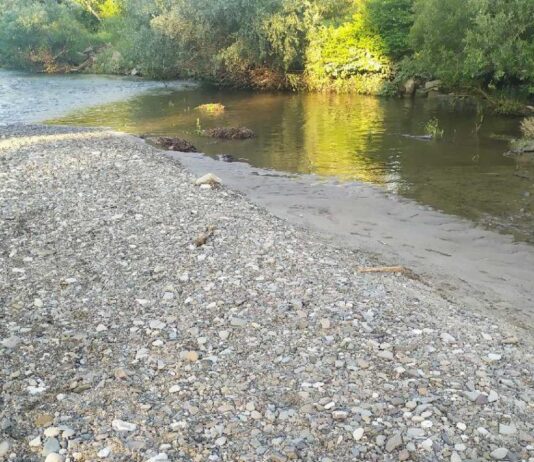 Oświęcim. Nastolatkowie odkryli ludzkie kości w rzece Soła Oświęcim kości w rzece Soła