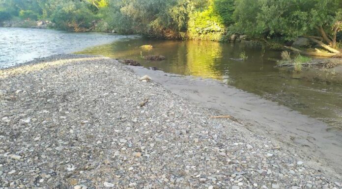 Oświęcim. Nastolatkowie odkryli ludzkie kości w rzece Soła Oświęcim kości w rzece Soła