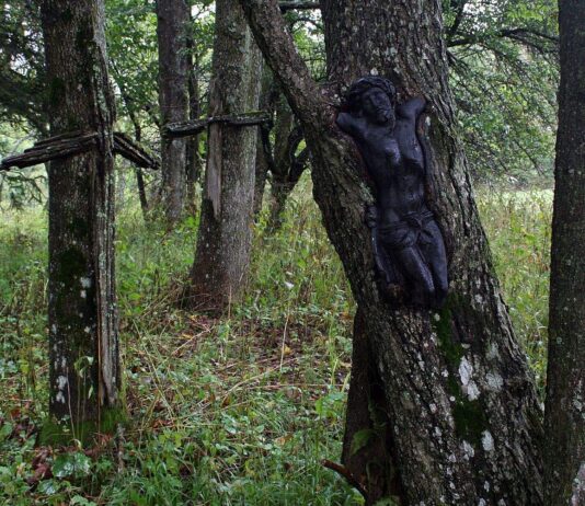 Bieszczady. Dwa cmentarze z I WŚ odkryte i przebadane przez archeologów