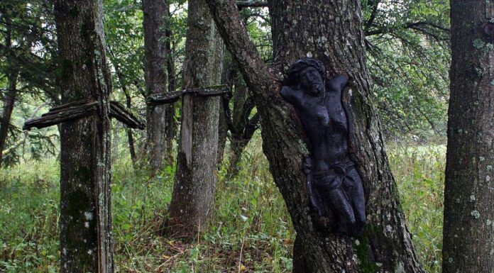 Bieszczady. Dwa cmentarze z I WŚ odkryte i przebadane przez archeologów