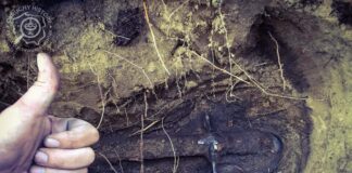 Kiedyś to było… ułańska polska szabla wz. 34 „Ludwikówka” Wrześniowa ułańska Polska szabla wz. 34 "Ludwikówka" fot. Tomasz (tominew)