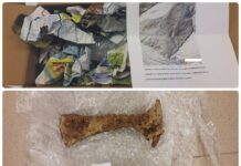 Muzeum w Sanoku odebrało anonimową paczkę z zabytkami! średniowieczny topór anonimowa paczka