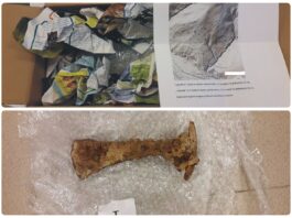 Muzeum w Sanoku odebrało anonimową paczkę z zabytkami! średniowieczny topór anonimowa paczka