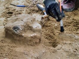 276 grobów i liczne artefakty na wczesnośredniowiecznym cmentarzu w Płocku