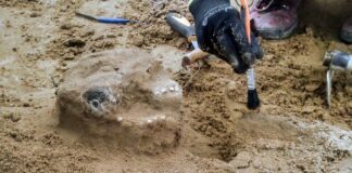 276 grobów i liczne artefakty na wczesnośredniowiecznym cmentarzu w Płocku