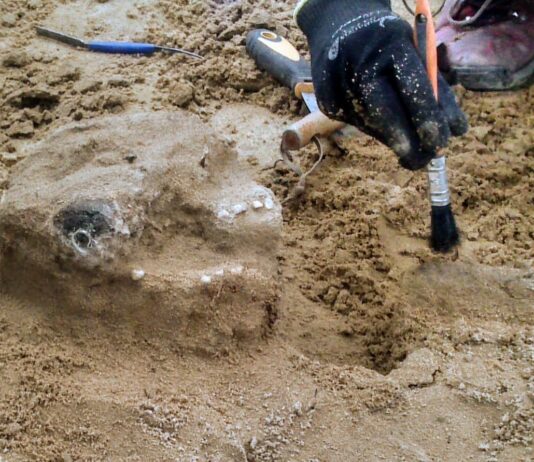 276 grobów i liczne artefakty na wczesnośredniowiecznym cmentarzu w Płocku