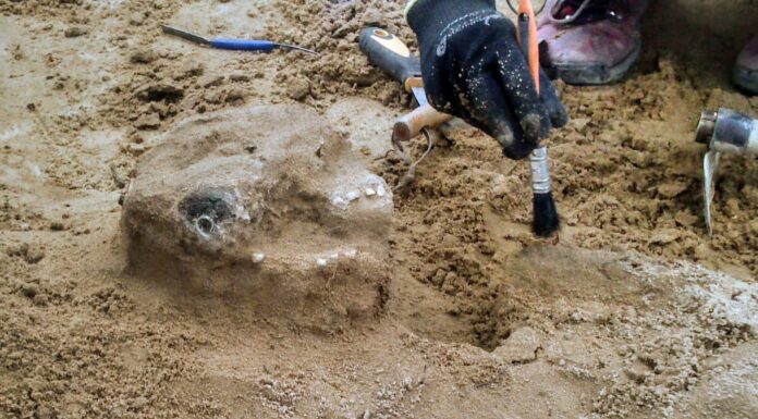 276 grobów i liczne artefakty na wczesnośredniowiecznym cmentarzu w Płocku