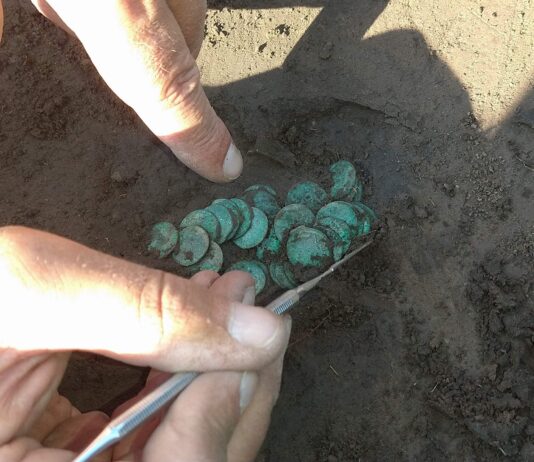 Skarb 351 szelągów Jana Kazimierza odkryto w Gródku pod Hrubieszowem (GALERIA) eksplorowanie skarbu boratynek