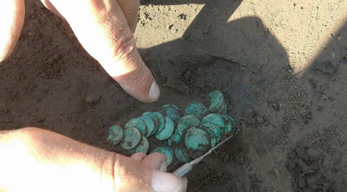 Skarb 351 szelągów Jana Kazimierza odkryto w Gródku pod Hrubieszowem (GALERIA) eksplorowanie skarbu boratynek