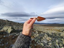 Grot bełtu kuszy odkrył w topniejącym lodowcu łowca reniferów grot bełtu kuszy odkryty w lodowcu