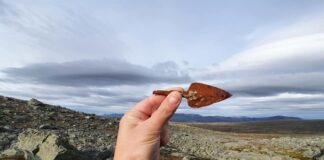 Grot bełtu kuszy odkrył w topniejącym lodowcu łowca reniferów grot bełtu kuszy odkryty w lodowcu