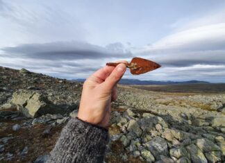 Grot bełtu kuszy odkrył w topniejącym lodowcu łowca reniferów grot bełtu kuszy odkryty w lodowcu