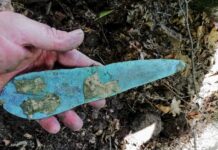 Sensacyjne znalezisko z epoki brązu na Podkarpaciu – archeolodzy są poruszeni sztylet epoka brązu stowarzyszenie Galicja