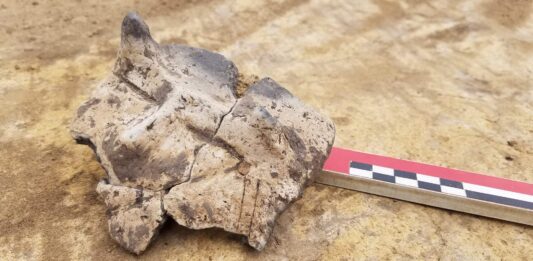 Twarz z rogami na naczyniu sprzed 7 tys. lat odkryta w Małopolsce Twarz z rogami na ceramicznym naczyniu sprzed 7 tys lat