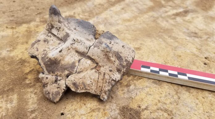 Twarz z rogami na naczyniu sprzed 7 tys. lat odkryta w Małopolsce Twarz z rogami na ceramicznym naczyniu sprzed 7 tys lat