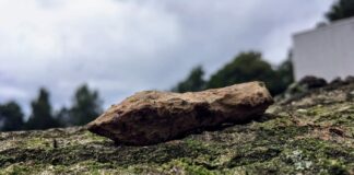 Archeolodzy z Polski zbadali największe jezioro Bornholmu – znaleźli średniowieczne groty i wannę… Grunwald badania średniowieczny grot tulejowy bełtu kuszy