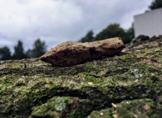 Archeolodzy z Polski zbadali największe jezioro Bornholmu – znaleźli średniowieczne groty i wannę… Grunwald badania średniowieczny grot tulejowy bełtu kuszy