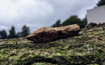 Archeolodzy z Polski zbadali największe jezioro Bornholmu – znaleźli średniowieczne groty i wannę… Grunwald badania średniowieczny grot tulejowy bełtu kuszy