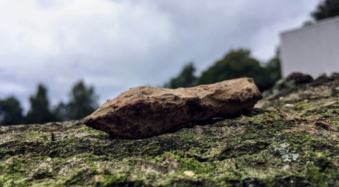 Archeolodzy z Polski zbadali największe jezioro Bornholmu – znaleźli średniowieczne groty i wannę… Grunwald badania średniowieczny grot tulejowy bełtu kuszy