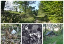 Opuszczona wieś Jawornik – tropem Bieszczadzkich wampirów (GALERIA)