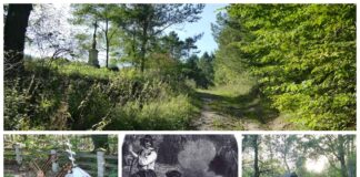 Opuszczona wieś Jawornik – tropem Bieszczadzkich wampirów (GALERIA)