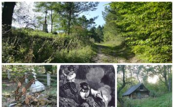 Opuszczona wieś Jawornik – tropem Bieszczadzkich wampirów (GALERIA)