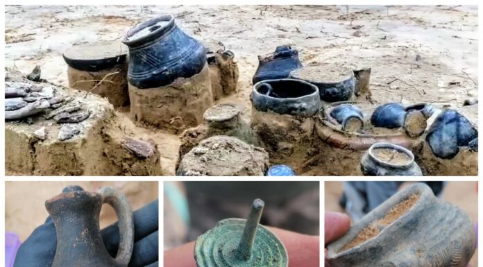 Miał powstać market – odkryto niezwykle bogate cmentarzysko sprzed 3 tys. lat (GALERIA)