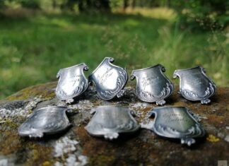 Odnaleziono gwoździe z zaginionego sztandaru 7 Pułku Artylerii Lekkiej