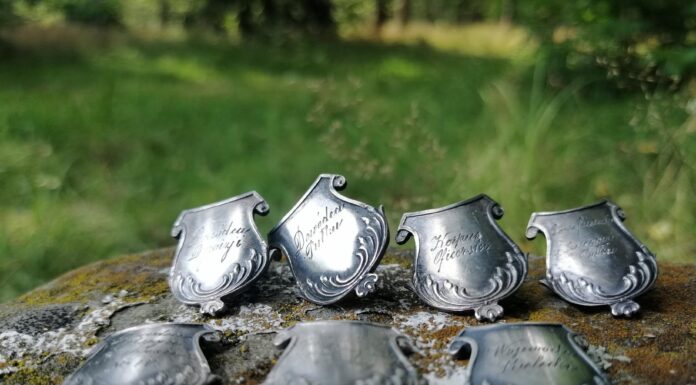 Odnaleziono gwoździe z zaginionego sztandaru 7 Pułku Artylerii Lekkiej