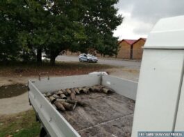 Transakcja życia… przyjął zapłatę za drewno w pociskach! pociski artyleryjskie na samochodzie