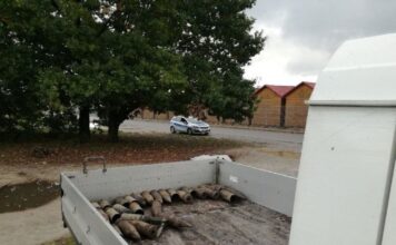 Transakcja życia… przyjął zapłatę za drewno w pociskach! pociski artyleryjskie na samochodzie