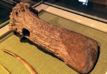 Pod koniec epoki lodowcowej paleolityczni łowcy nie opuścili terenów naszego kraju