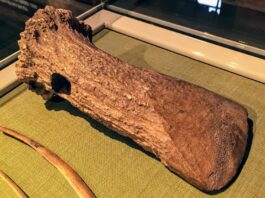 Pod koniec epoki lodowcowej paleolityczni łowcy nie opuścili terenów naszego kraju