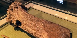 Pod koniec epoki lodowcowej paleolityczni łowcy nie opuścili terenów naszego kraju