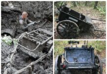 Niemiecki wózek IF9 wydobyty z bagna w Kurlandii (GALERIA) wozek Infanteriekarren IF9 Kurlandia