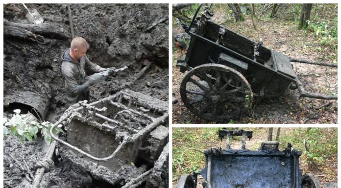 Niemiecki wózek IF9 wydobyty z bagna w Kurlandii (GALERIA) wozek Infanteriekarren IF9 Kurlandia