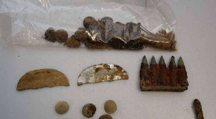 Ziemia ukazała tajemnicę sprzed lat – znaleziono trzech żołnierzy niemiecki nieśmiertelnik guziki