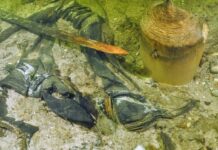 Litwa. Średniowieczny rycerz z uzbrojeniem odkryty na dnie jeziora (GALERIA)