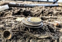 Skarb z XVI-wiecznej sakiewki odkryty w polu przez poszukiwacza (GALERIA +FILM) skarb monet Egon Gang Poszukiwaczy