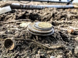 Skarb z XVI-wiecznej sakiewki odkryty w polu przez poszukiwacza (GALERIA +FILM) skarb monet Egon Gang Poszukiwaczy