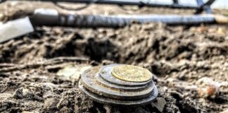 Skarb z XVI-wiecznej sakiewki odkryty w polu przez poszukiwacza (GALERIA +FILM) skarb monet Egon Gang Poszukiwaczy