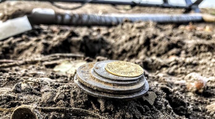 Skarb z XVI-wiecznej sakiewki odkryty w polu przez poszukiwacza (GALERIA +FILM) skarb monet Egon Gang Poszukiwaczy