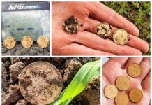 Polacy znaleźli skarb złotych suwerenów z XIX wieku! (GALERIA) skarb monety suwereny złoto