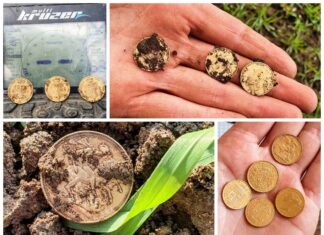 Polacy znaleźli skarb złotych suwerenów z XIX wieku! (GALERIA) skarb monety suwereny złoto