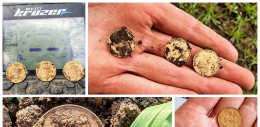 Polacy znaleźli skarb złotych suwerenów z XIX wieku! (GALERIA) skarb monety suwereny złoto