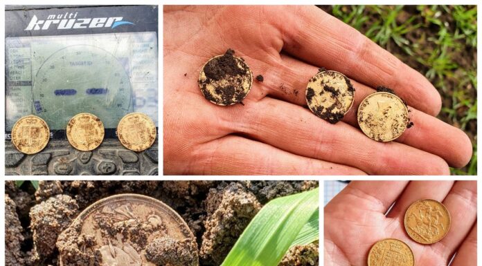 Polacy znaleźli skarb złotych suwerenów z XIX wieku! (GALERIA) skarb monety suwereny złoto